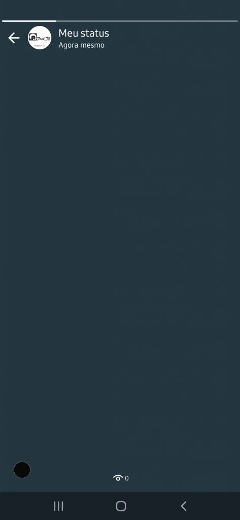 Status do WhatsApp Invisível